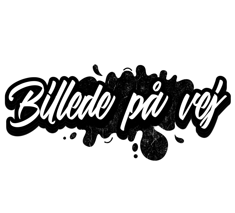 Ind Biografien Birgitte Possing Bog